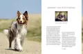 Die besonderen Fähigkeiten des Hundeexperten José Arce haben auch viele Prominente für sich entdeckt, ein Vorwort von Peter Maffay.