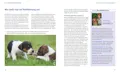 Der Tierratgeber BARF für Hunde von Marianne Kohtz-Walkemeyer ist im Gräfe & Unzer Verlag erschienen.