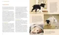 Praktische Tipps und Anleitungen zum richtigen Umgang mit Hundewelpen in dem Buch Unser Welpe.