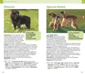 Informationen zu Hunderassen von A bis Z im gleichnamigen Ratgeber von Horst Hegewald-Kawich.