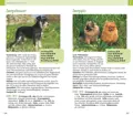 Von Affenpinscher bis Zwergspitz über Nutzung, Gesundheit bis hin zur Halter-Eignung finden sich wetvolle Information in Hunderassen von A bis Z.