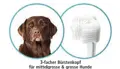 3er-Bürstenkopf zur Mira-pet Ultraschall-Zahnbürste für mittelgrosse bis grosse Hunde.