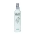 Spray & Go Shampoo von Greenfields.