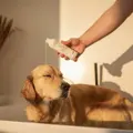 All-in-one Pflege Shampoo & Spülung von Greenfields.