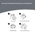 Anleitung zum Black Coat Shampoo von Greenfields.