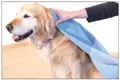 Micro Tücher von swisspet sind ideal nach dem Hunde-Bad geeignet.