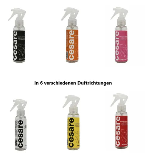 6 Duftrichtungen des Duftsprays von cesare.