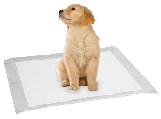 Hygienisch und saugstark sind die swisspet Puppy Pads für das Stubenreinheitstraining.