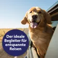 Ob auf Reisen, in ungewohnter Umgebung oder sonstigen Stresssituationen wirkt das Home Comfort von Canosept.