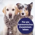 Canosept Beruhigungsspray wenn dein Hund nervös ist und Möbel, Hundekorb oder sonstige Dinge anknabbert.