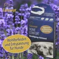 Die Lavendel- und Baldrianextrakte im Canosept Home Comfort Halsband sind für ihre beruhigende Wirkung bekannt.