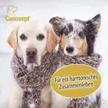Canosept Home Comfort für ein entspanntes Zusammenleben zwischen Mensch und Tier.