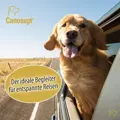 Canosept Home Comfort bei Überreizung der Sinnesorgane deines Hundes.
