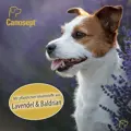 Die Formel aus pflanzlichen Inhaltsstoffen beim Canosept Home Comfort Hundehalsband hilft deinem Hund sich wohlzufühlen.