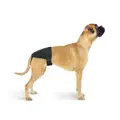Cleanies Schutzhose für Hunde (Nicht im Lieferumfang enthalten).