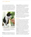 B.A.R.F - Was ist das? Antworten dazu und viele interessante Informationen rund um die Rohfütterung bei Katzen auf 64 Seiten im Ratgeber BARF für Katzen.