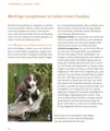 Wichtige Lernphasen eines Hundes und viele weitere Themen erklärt von Hunde-Expertin und Erfolgsautorin Katharina Schlegl-Kofler.