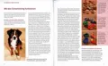 Grundwissen zum Clickertraining für Einsteiger vermittelt das Gräfe & Unzer Ratgeber-Buch Hunde-Clickertraining.