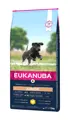 Eukanuba Junior Large