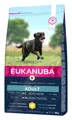 Eukanuba Adult Large / Giant