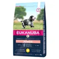 Eukanuba Senior Medium