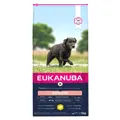 Eukanuba Senior Large VE