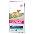 Eukanuba Breed Specific Labrador Retriever