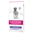 Eukanuba Veterinary Diets - Dermatosis FP Trockenfutter