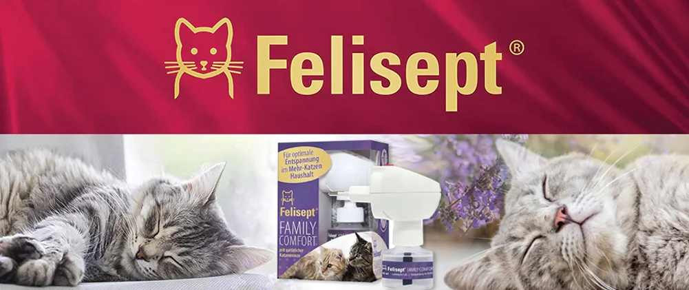 Felisept-Katzenhygiene-Katzenpflege