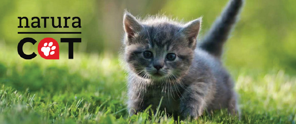 Natura-Cat-Katzenfutter