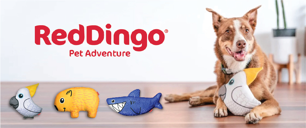 RedDingo-Hundespielzeug-Hundeleine-Katzenhalsband-Geschirr