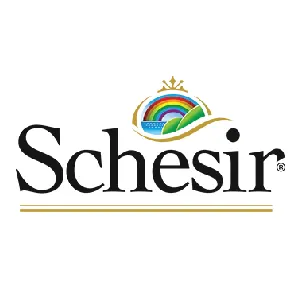 Schesir
