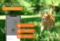 GPS Tracker für Katzen.jpg