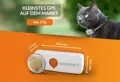 Katzen Ortungsgerät Schweiz.jpg