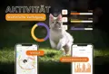 katzen gps tracker klein schweiz.jpg